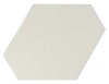 Scale Benzene Mint 10,8x12,4 cm Sienų plytelės