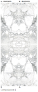 ARABESCATO EKXTREME BOOK-MATCH GLOSS 4VARIANTAS 120X280 CM Sienų plytelės
