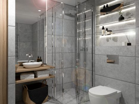 pilkas-dusas_mazas vonios kambarys su duso kabina
