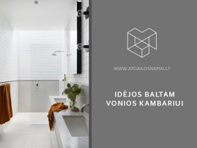 Idėjos baltam vonios kambariui