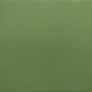 RIVOLI GREEN 30716 20X20 CM Plytelės vidaus ir lauko apdailai