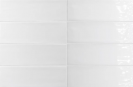 FANGO BLANC GLOSS 30684 5X15 CM Plytelės vidaus ir lauko apdailai
