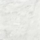 ALEXANDRIA WHITE MATT RECT 120X120 Turime sandėlyje ALEXANDRIA WHITE MATT RECT 120X120 Turime sandėlyje