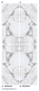 BRIGHT PRECIOUS BOOKMATCH GLOSS 2 120X280 CM (A IR B PUSĖS) Plytelės vidaus ir lauko apdailai