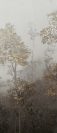 06054 CEMENT VIBES DECORS FAIRY DARK MATT B 120X280CM Plytelės vidaus ir lauko apdailai