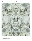 WHITE BEAUTY GLOSS 1 120X280 CM (A IR B PUSĖS) Plytelės vidaus ir lauko apdailai