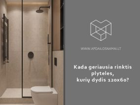 Kada geriausia rinktis plyteles, kurių dydis 120x60?