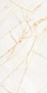 SUPREME HEDONISM GOLDEN SPIDER LUX 3D. 0017223, 120X280 CM Plytelės vidaus ir lauko apdailai