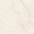 AVORIO CREAM 120X120 CM Sienų plytelės