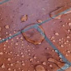 kaip-apsaugoti-terasos-plyteles-nuo-salcio-ir-dregmes